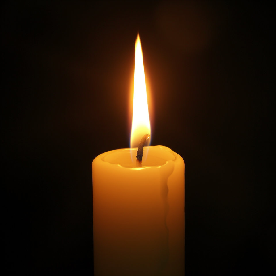 哀悼311事故中牺牲的矿工兄弟